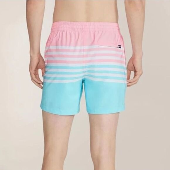 Chubbies Swim Trunks Mens Size S On The Horizons 5.5 in Stretch Lined Pocket - Picture 2 of 14